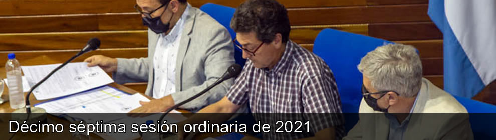 DÉCIMO SÉPTIMA SESIÓN ORDINARIA DE 2021 2